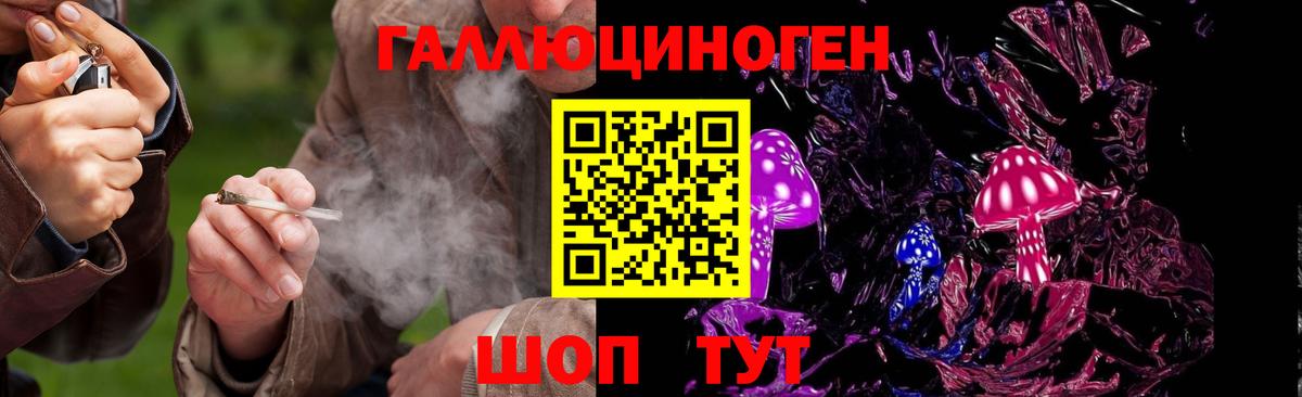 Переславль-Залесский  Галлюциногенные грибы мицелий  Вход с VPN 